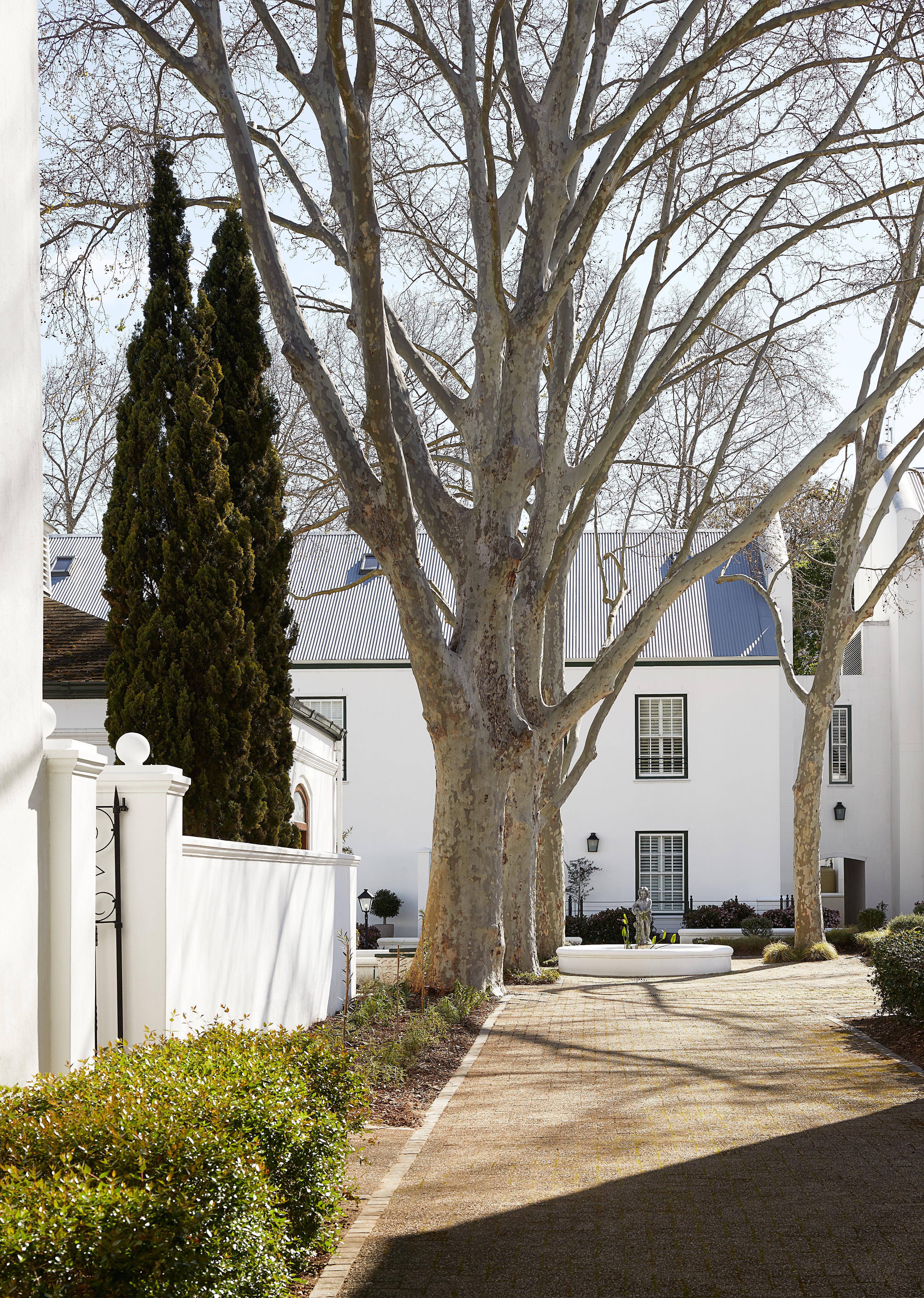 The Alphen Boutique Hotel & Spa Cape Town Exterior foto